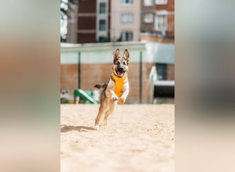 Besondere Deya sucht warmes Körbchen