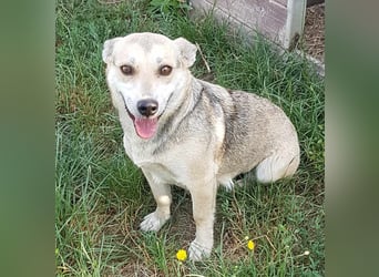 Mimi