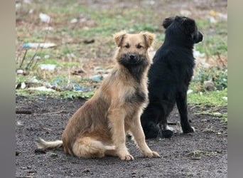 Unsere schüchterne Dani sucht Dich