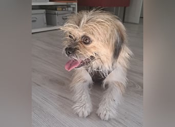 Lana ein winziger Schatz