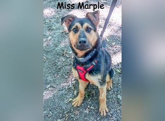 Miss Marple