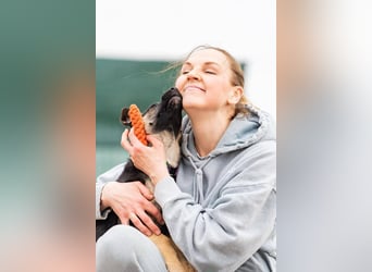 Verspielte Samantha sucht ihre Menschen