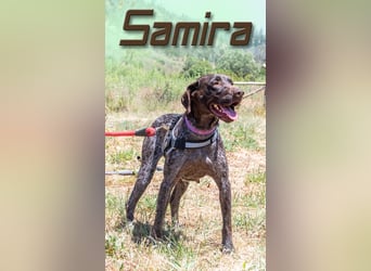 Samira - lebenslustig und freundlich