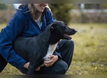 Larry: Sportskanone sucht Gleichgesinnte
