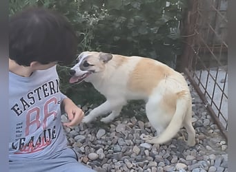 LEILA sucht eine Familie