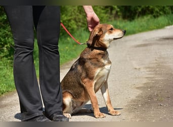 Bara schließt ihre Menschen schnell ins Herz