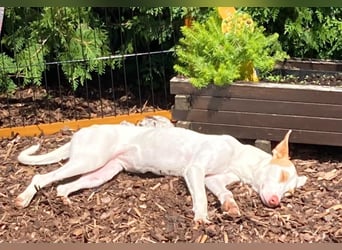 Barbi, sucht dringend einen neuen Platz