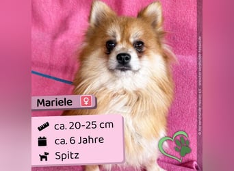 Mariele