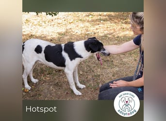Hotspot: Ein Herz voller Hoffnung