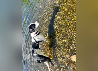 Josie möchte jetzt auch endlich ankommen