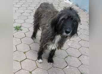 Nico: wann scheint für ihn die Sonne?