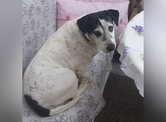 Dona eine liebe Knutschkugel