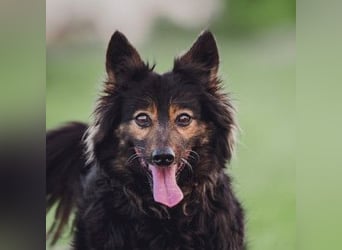 Stella - rüstige Seniorin die noch flott unterwegs ist