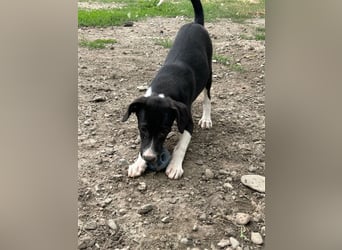 Zauberhafte Kayla ist bereit!
