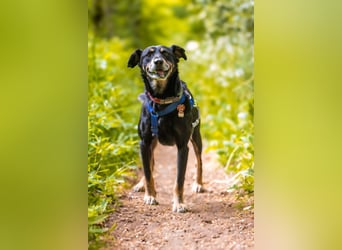 Rudi sucht seine Menschen