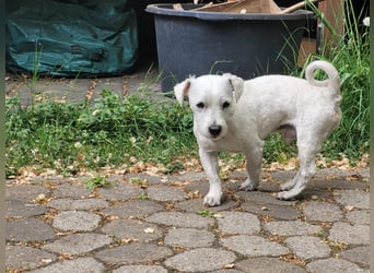Charly freut sich auf Deinen Besuch
