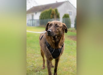 Moji sucht sein Für-Immer-Zuhause