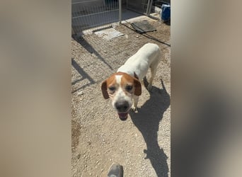 Esther, hofft auf ihr großes Glück