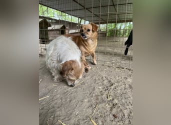 Maggie LM – vorsichtige Seele sucht sicheren Hafen