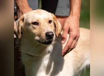 Quita
