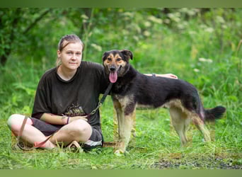 Der freundliche und bescheidene Elon sucht eine Familie