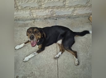 Arturo - junger Gutelaune-Bub