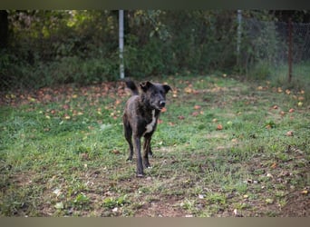 Mateo: sucht Geborgenheit