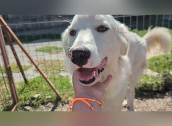 Zauberhafte Skadi, bekommt sie trotz Handicap eine Chance?