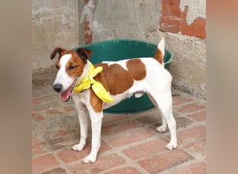 Chester