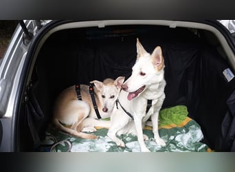 LILI und LOLI, Schwesternpaar in Süddeutschland