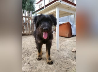 Jax wartet auf seine Familie