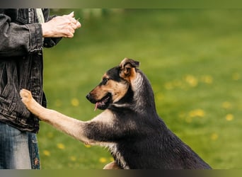 Neugierige BRUNYA sucht eine liebevolle Familie