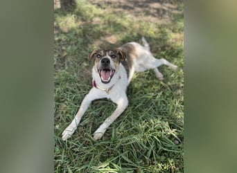 Aufgeschlossene Freya sucht liebe Familie