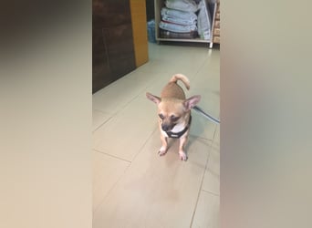 NEO