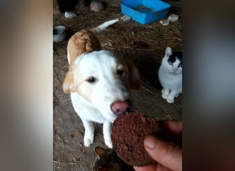 Tilly, freundlich und sanft