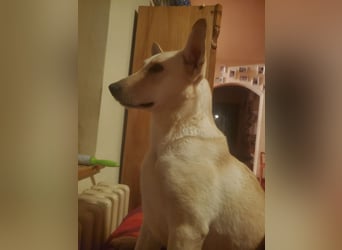 Mila, erwachsene Frau der vielen Facetten