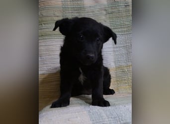 Sidney, Black Baby freut sich auf Dich!