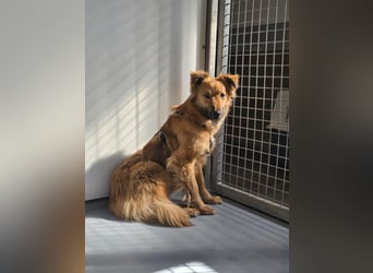 Dani sucht ihre Familie