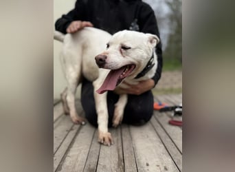 Angel sucht Herzensmenschen