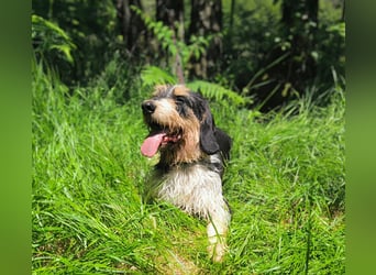 Rus