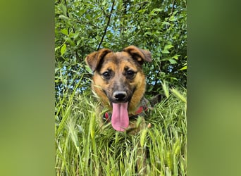 Liebe Ruby sucht eine neue Bleibe