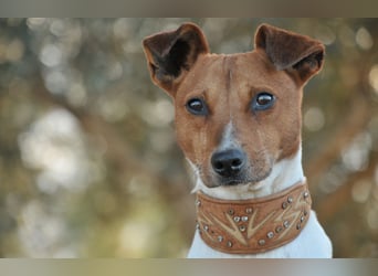 Schenken Sie Freddy ein Leben in Liebe und Geborgenheit?