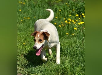 Bella Y153 ist voller Lebensfreude