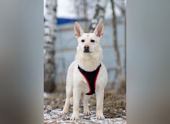 Vorsichtiger Theo sucht seine Familie