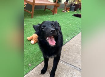Fiona SR– Kleine Entdeckerin sucht liebevolles Zuhause