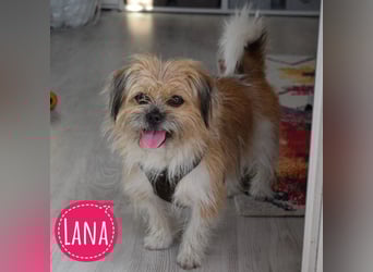 Lana ein winziger Schatz