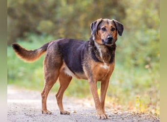 Elsa sucht ihre Familie