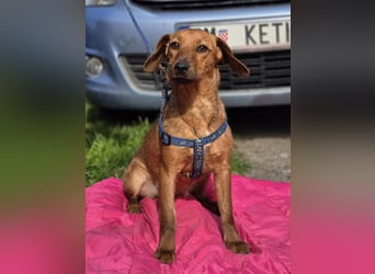 Rita ♥️ Pflegefamilie 41812 Erkelenz