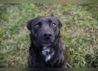 Fritzi: sucht dich!