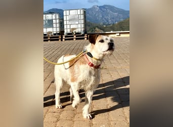 Jess wartet auf ihr Für-Immer-Zuhause